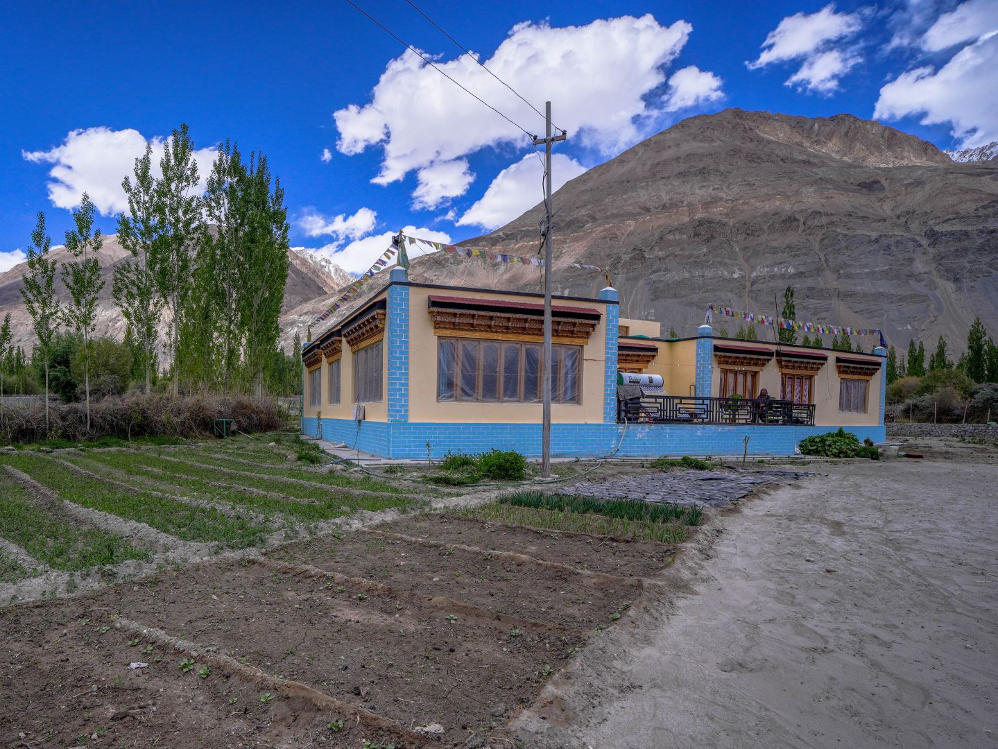 Peace View Homestay — homestay in Chamshen, Nubra, Ladakh