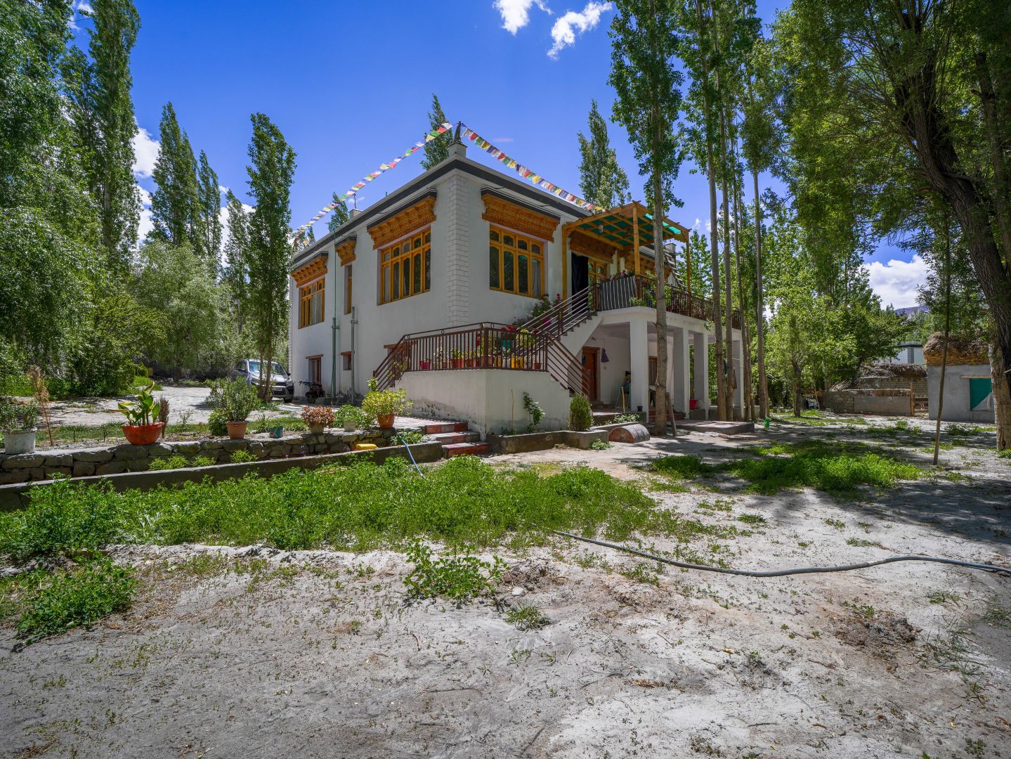 Apricot Homestay