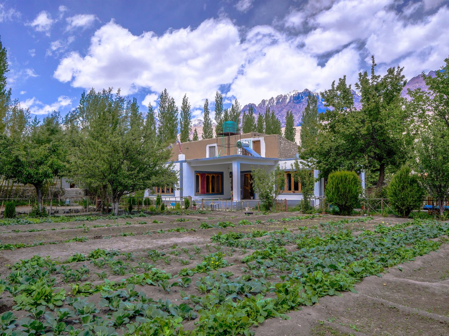 Shacho Homestay