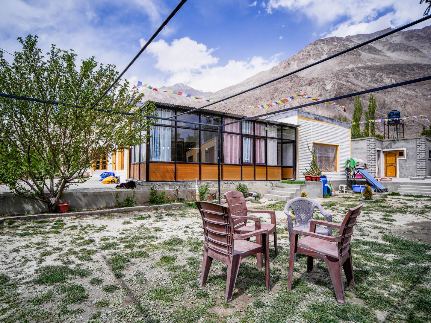 Lotus Homestay